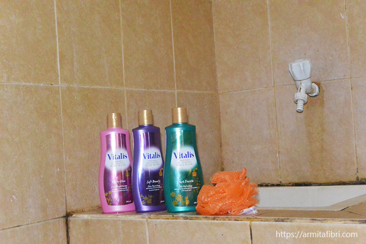 Vitalis Body Wash Review Blog