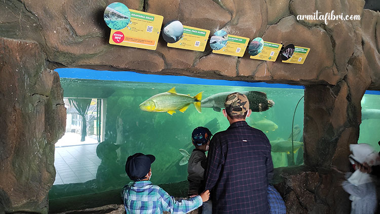 tiket lembang park zoo