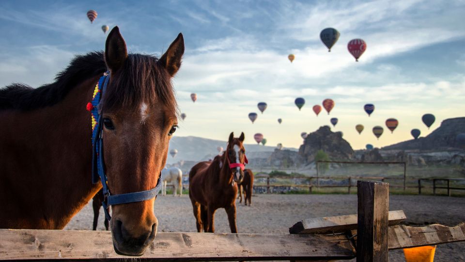pengalaman menunggang kuda di cappadocia