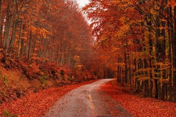 musim gugur di Turki