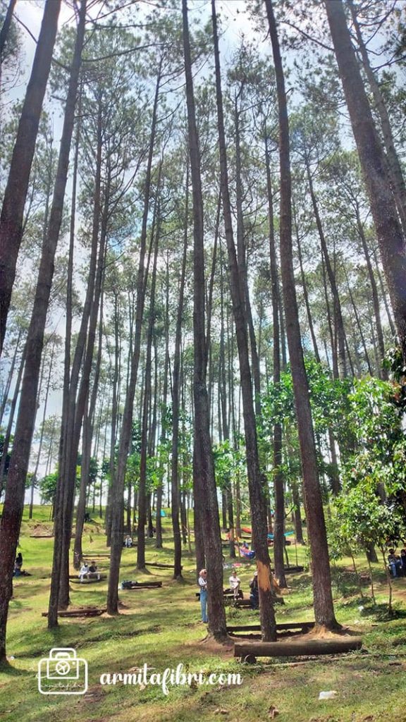 harga sewa tenda di batu kuda manglayang bandung