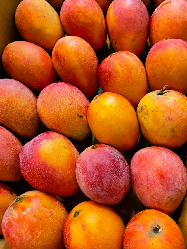 oleh oleh khas subang jawa barat