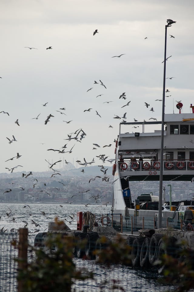 pemandangan di selat bosphorus