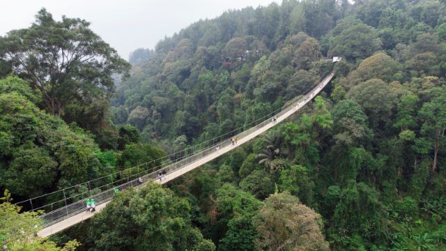 situ gunung