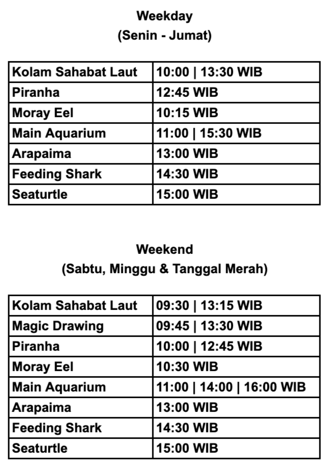 jadwal feeding time sea world ancol