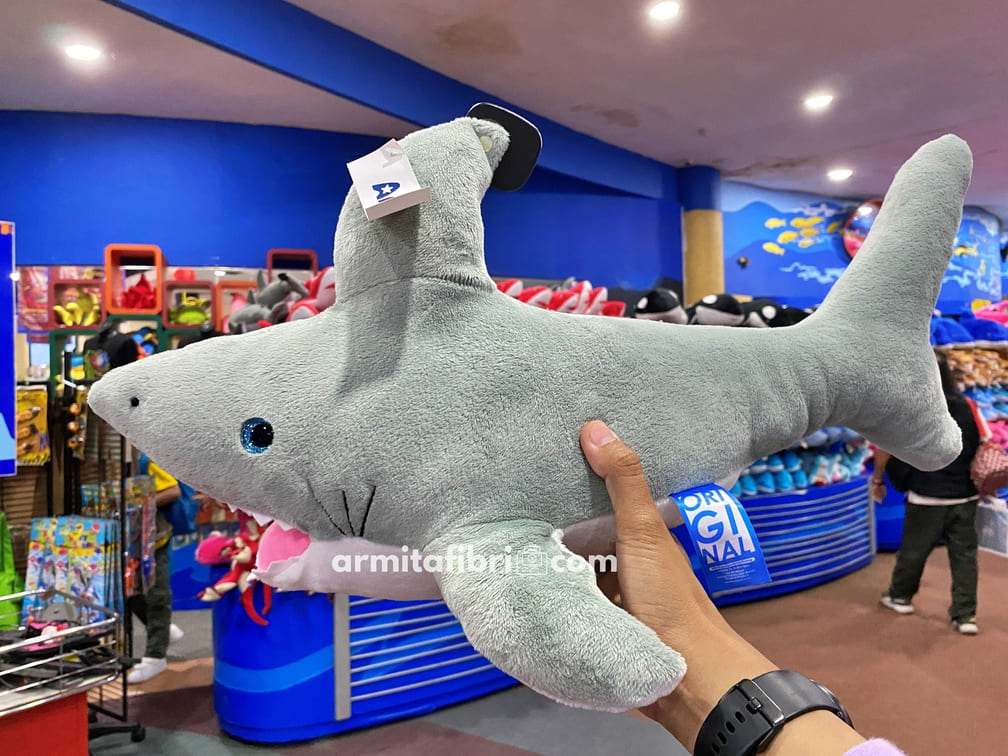 shark aquarium ancol