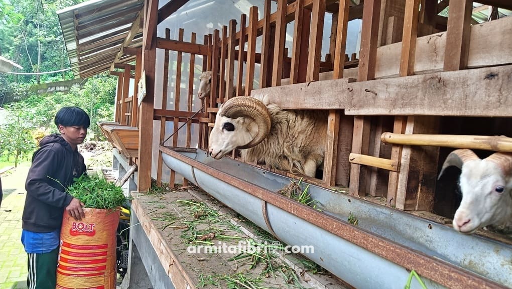 outbound anak bandung