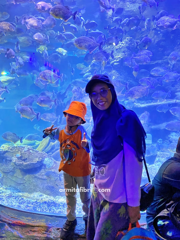 sea world ancol tutup jam berapa