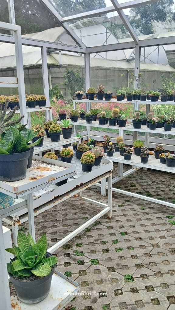 fasilitas edukidzment