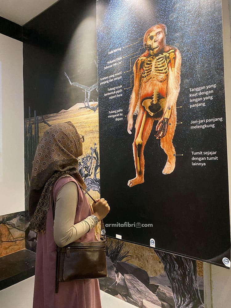 museum geologi bandung