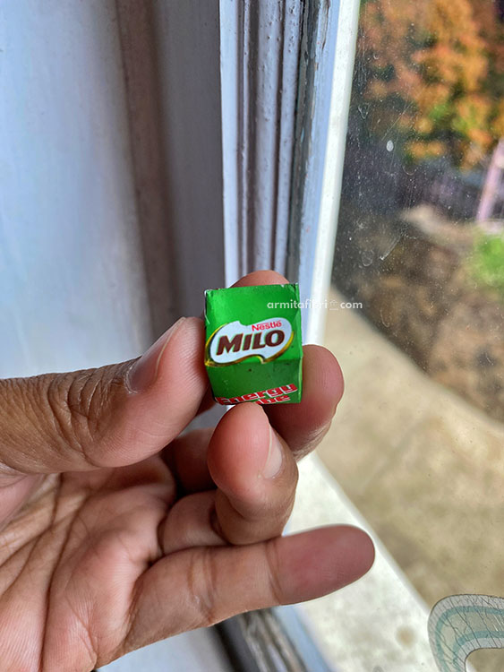 oleh oleh malaysia