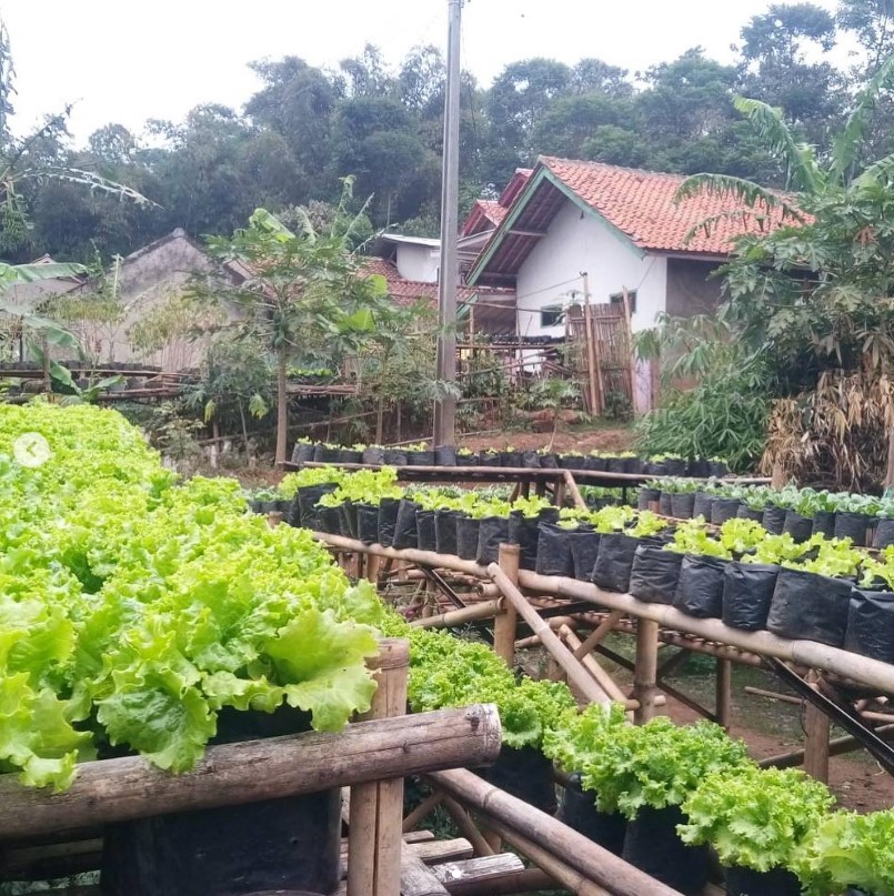 ecovillage cinanjung