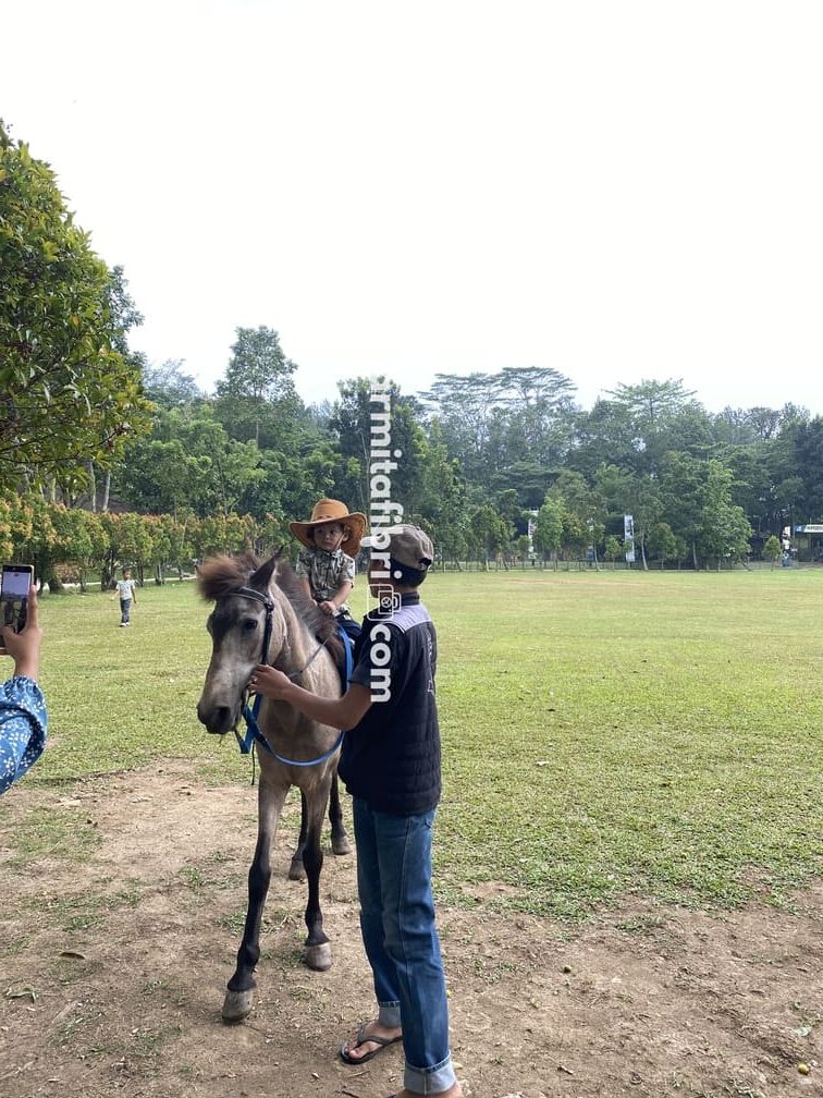 playground di bogor
