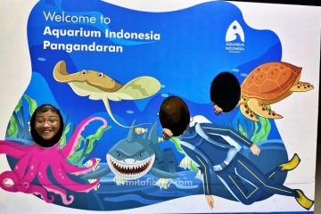 review aquarium indonesia pangandaran