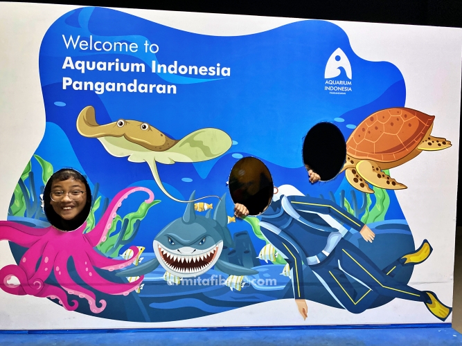review aquarium indonesia pangandaran