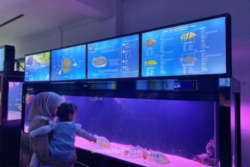 gambar aquarium pangandaran