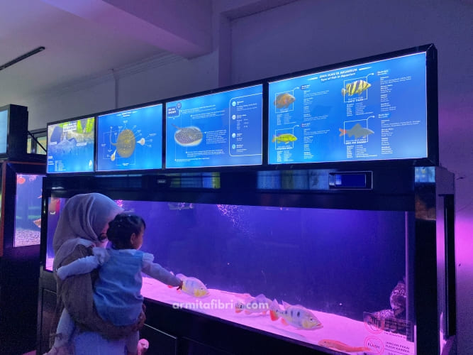 gambar aquarium pangandaran