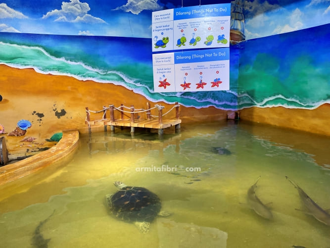 gambar aquarium indonesia pangandaran